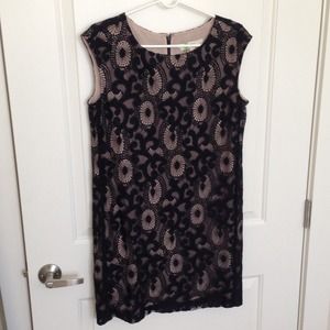Loft black lace dress petite