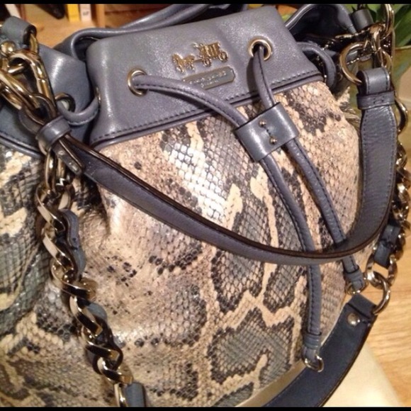 Extra Pics💙Host Pick💙 Authentic Coach Limited Edition Blue Python 💙 - Picture 3 of 15