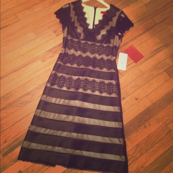 Lace and Sheer Dress