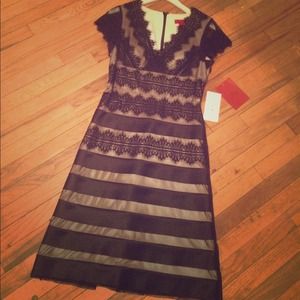 Lace and Sheer Dress