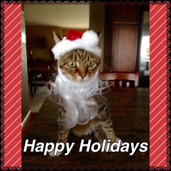 Holiday Cheer🎄🎄🎄🎄🎄🎄
