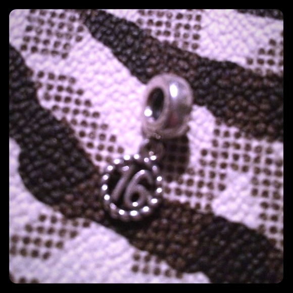 Pandora Charm💙