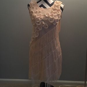 1920's flapper costume
