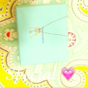 A girl's dream come true! Necklace bundle ⭐️💎🔑