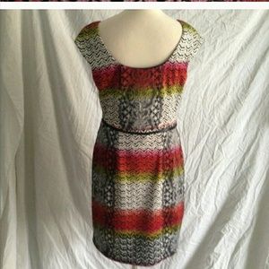 NEW Maggy London dress size 12