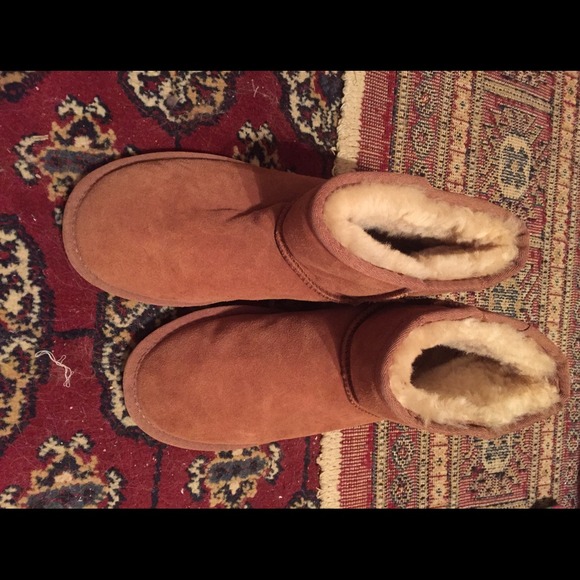 Short chestnut ugg size 9