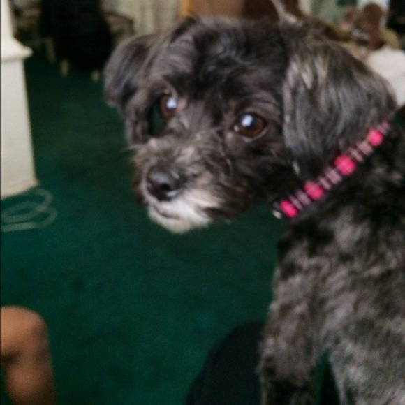 Lucy