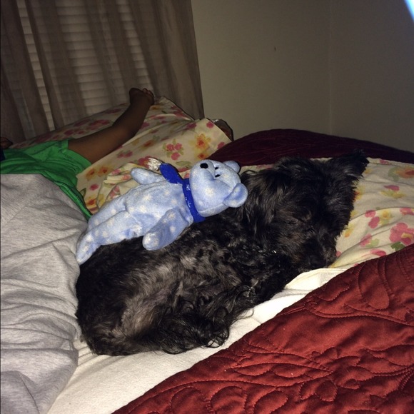 Lucy - Picture 2 of 4