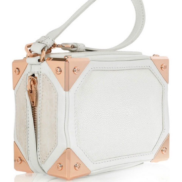 Alexander Wang Handbags - Alexander Wang White Jade Sting Ray Clutch Bag