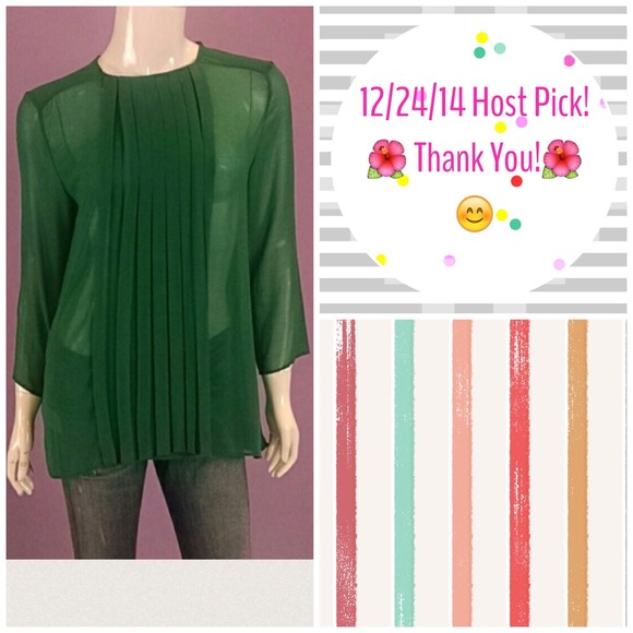 Green Sheer Ruffle Blouse - Diamondback -
