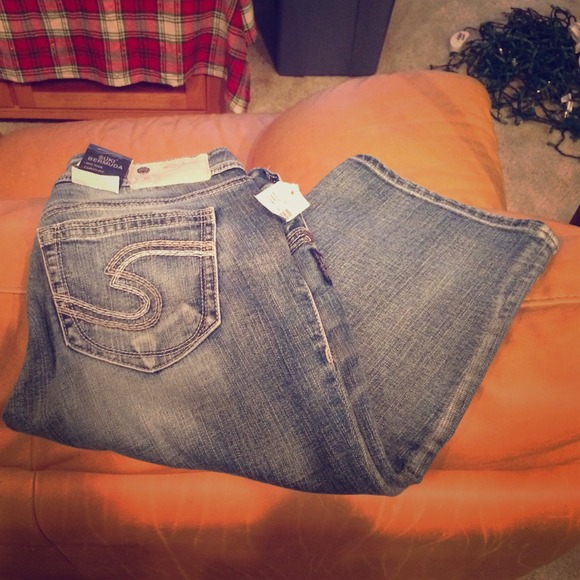 Silver Bermudas NWT