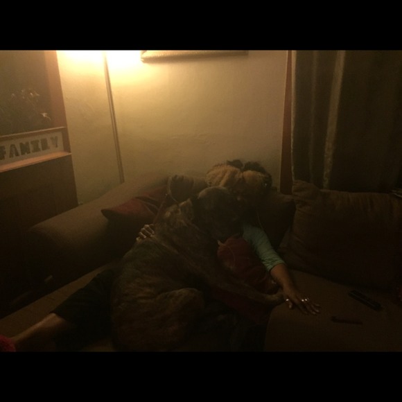 Feedback from Buyers Please☝️👍🙌🎈🎈🎈🎈🎈🎈🎈🎈 - Picture 4 of 4