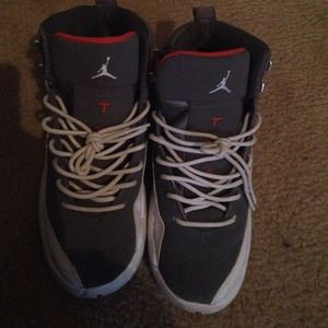 Jordan Cool Grey 12s