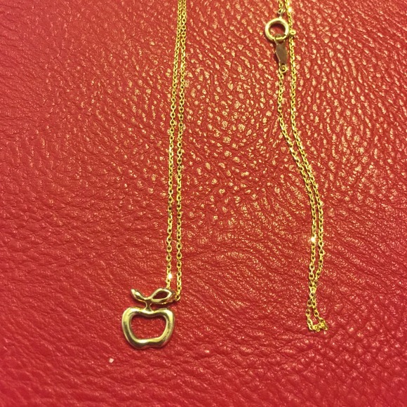 14k gold necklace Apple gift