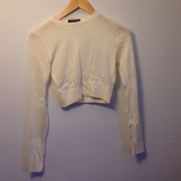 American Apparel Crop Sweater