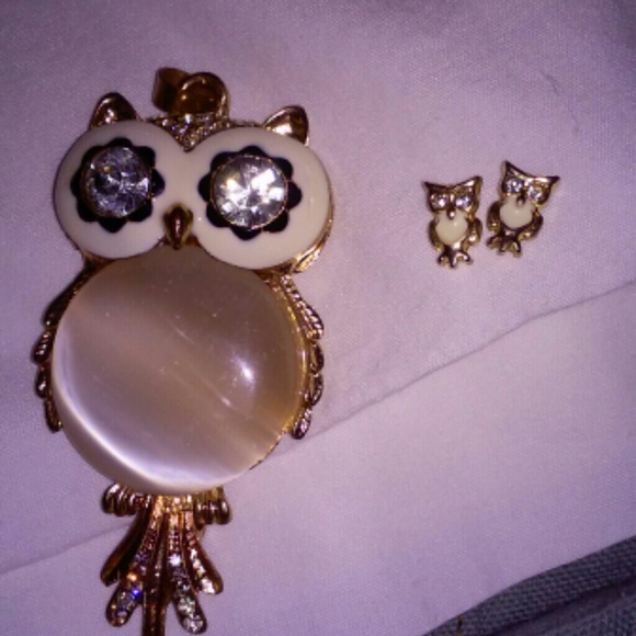 Owl BUNDLE