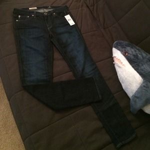 Adriano Goldschmied jeans 28