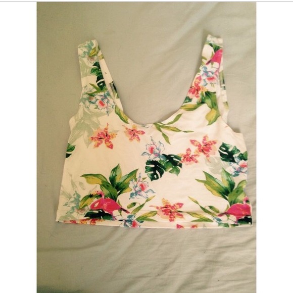 American Apparel Flamingo Crop Top
