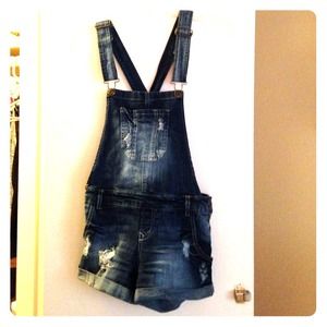 Wall flower denim overalls