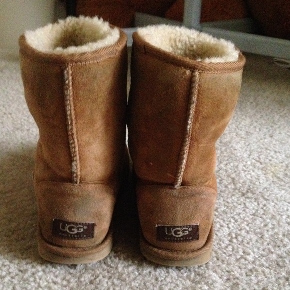 Chestnut uggs