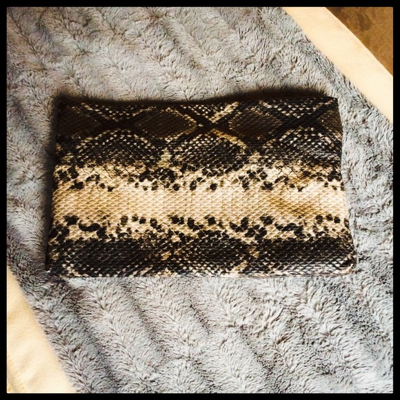 ZARA Snakeskin Clutch