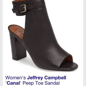 ISO ! Looking for Jeffrey Campbell canal peep toe