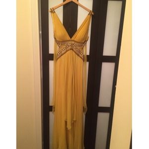 Ariannna papell collection beautiful dress