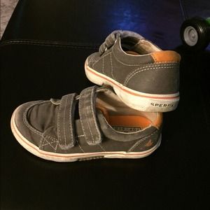 Toddler boys Sperry top siders
