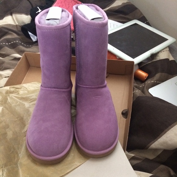 UGG Boots - Lavender mist uggs