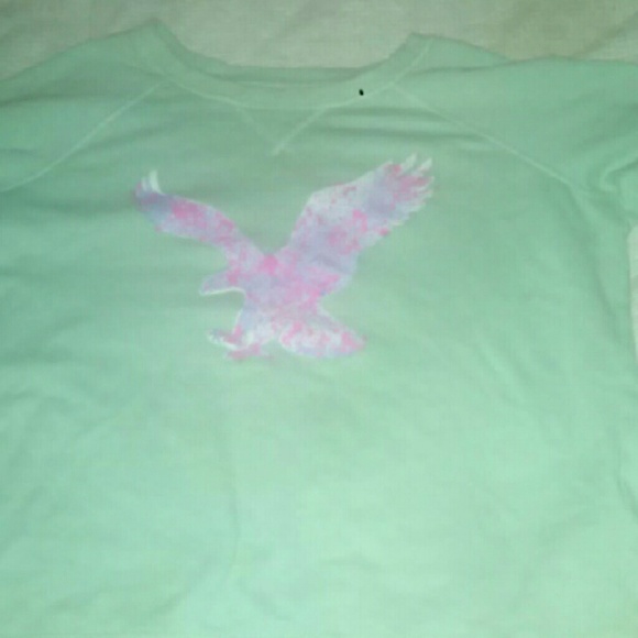 Blue sweatshirt from American Eagle - Picture 1 of 1