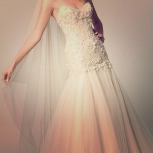 Hera/watters wtoo bridal dress