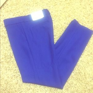 Ann Taylor's LOFT pants