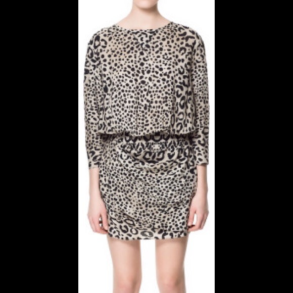 Zara leopard print dress.
