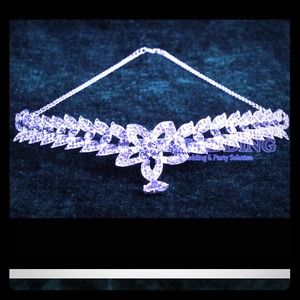 💝 Gorgeous Rhinestone head piece💝