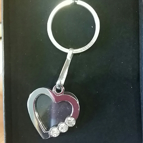 NWT bling picture keychain