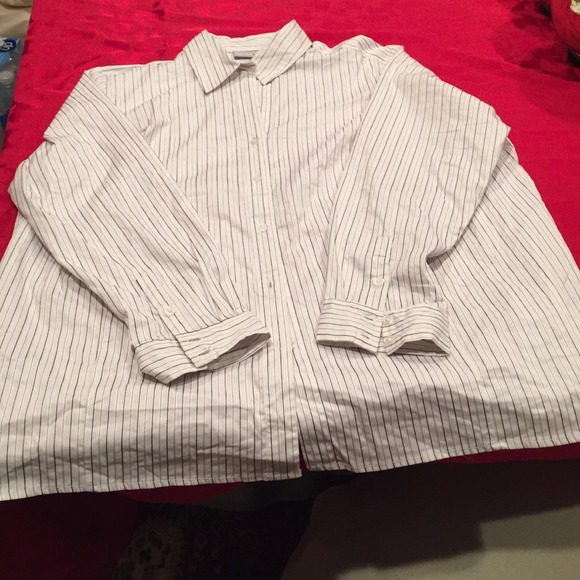 The Avenue Tops - Button down pin striped shirt.