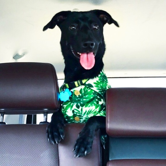 Meet Your Seller/Buyer! π― - Picture 5 of 11