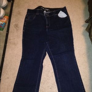 Lane Bryant Jeans
