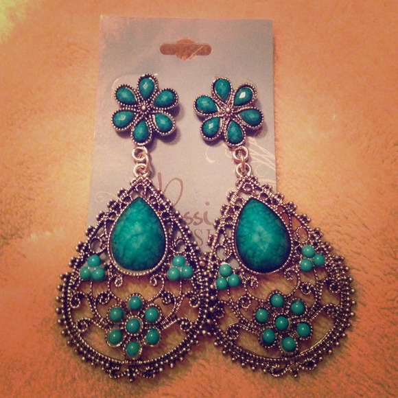 Earrings BNWT