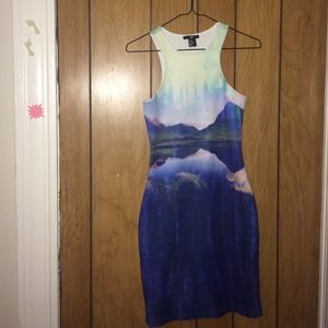 Size X-SMALL landscape H&M Dress