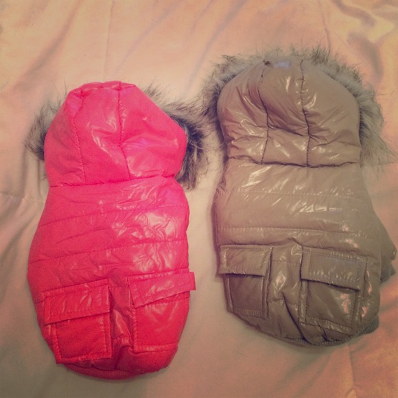 I have two small winter dog coats. Pink and gray.