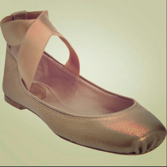 Looking to buy💲 Chloe ballet flats