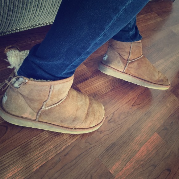 ISO chestnut mini uggs - Picture 1 of 1