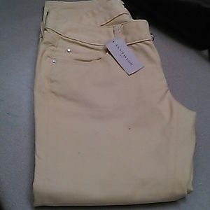 Ann taylor pants