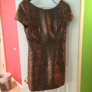 Ladakh Bronze Shimmer Dress