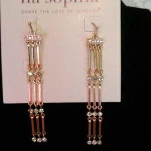 Lia  Sophia earrings from advisor display.