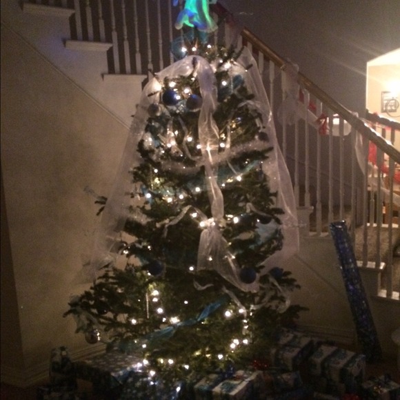 Bundle for sis- semi donated