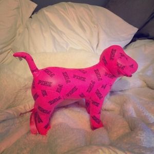 Large PINK dog