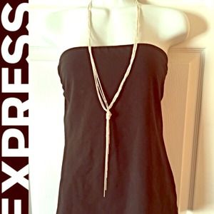 NWOT express long silver tassel necklace
