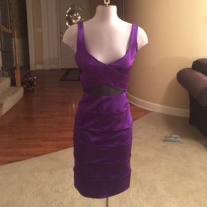 Bebe Purple mesh Dress